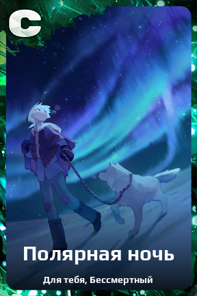 Карточка персонажа Полярная ночь