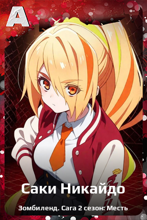 Карточка персонажа Саки Никайдо