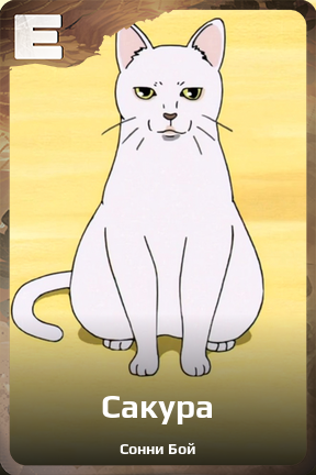 Карточка персонажа Сакура