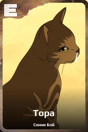 Карточка персонажа Тора