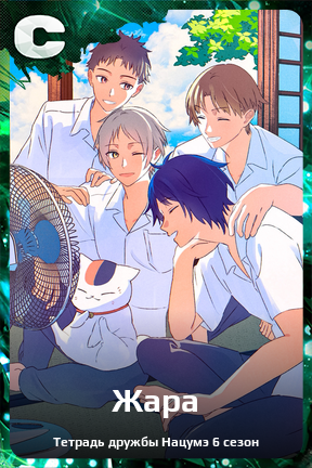 Карточка персонажа Жара