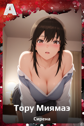 Карточка персонажа Тору Миямаэ