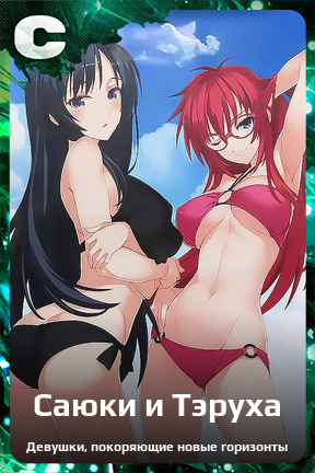 Карточка персонажа Саюки и Тэруха