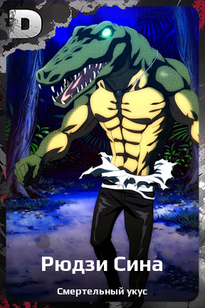 Карточка персонажа Рюдзи Сина