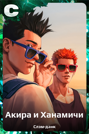 Карточка персонажа Акира и Ханамичи