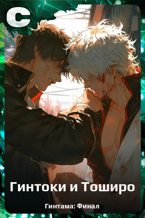 Карточка персонажа Гинтоки и Тоширо