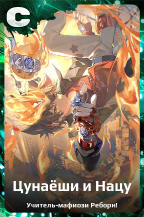 Карточка персонажа Цунаёши и Нацу