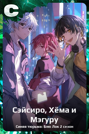 Карточка персонажа Сэйсиро, Хёма и Мэгуру