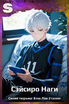 Карточка персонажа Сэйсиро Наги