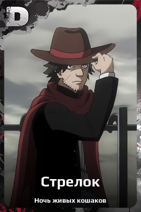 Карточка персонажа Стрелок
