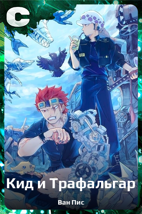 Карточка персонажа Кид и Трафальгар