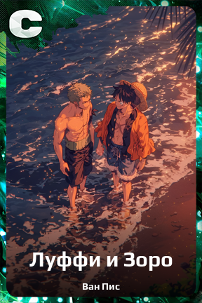 Карточка персонажа Луффи и Зоро