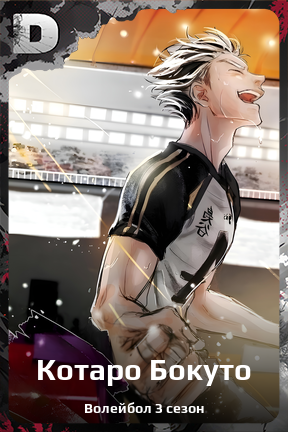 Карточка персонажа Котаро Бокуто