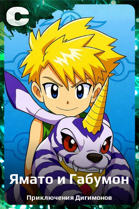 Карточка персонажа Ямато и Габумон