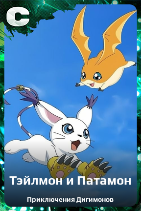 Карточка персонажа Тэйлмон и Патамон