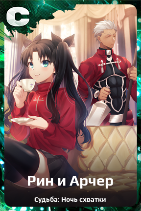 Карточка персонажа Рин и Арчер