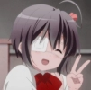 HiSAO