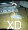 veron4ik