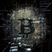 BitMirror