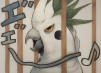 owlonline